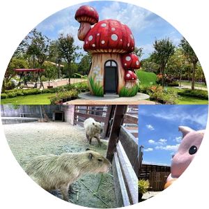 chiayi winery wine museum 三隻小猪観光農場 - 嘉義観光休閒農場一日遊 親子旅遊景点 休閒景点 人気推薦 家庭旅遊 動物餵食 網美熱門打卡拍照景点 高cp値