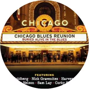 Chicago Blues Reunion - Musical artist