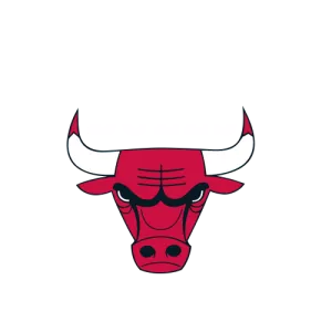 Chicago Bulls