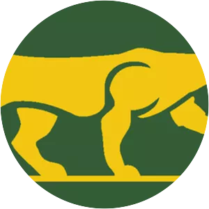 Chicago Cougars - Hockey team