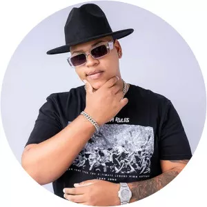 chicao do piseiro - Musical artist