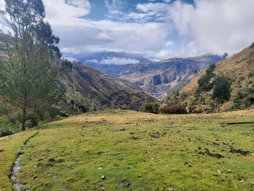 chicciyacu - alejandro ancco