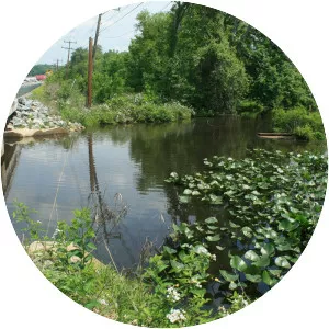 Chickahominy River - 