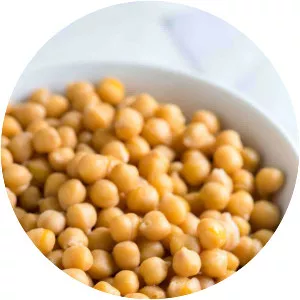 Chickpea - Legume