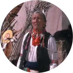 Chief Pony That Walks