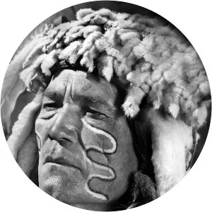 Chief Thundercloud - American character actor