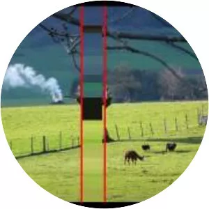 Chihiro Minato - Japanese photographer