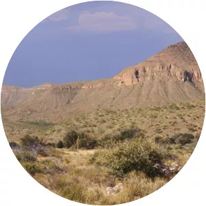Chihuahuan Desert