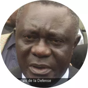 Chikez Diemu - Politician