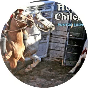 Chilean rodeo