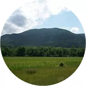 Chilhowee Mountain - Ridge in Tennessee