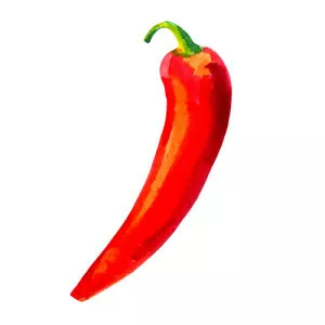 Chili pepper photograph