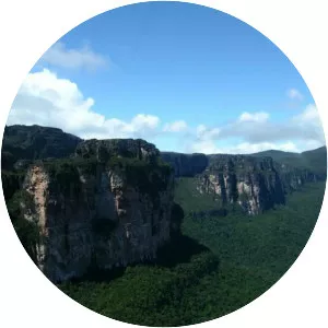 Chimantá Massif - Summit in Venezuela