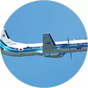 China Airlines Flight 206