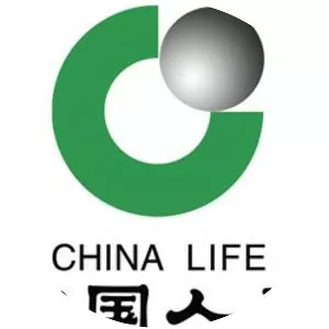 China Life Insurance Company