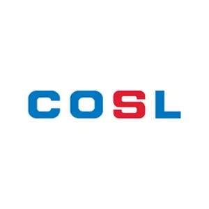 China Oilfield Services - Company