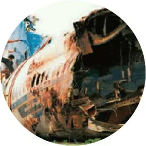 China Southern Airlines Flight 3456