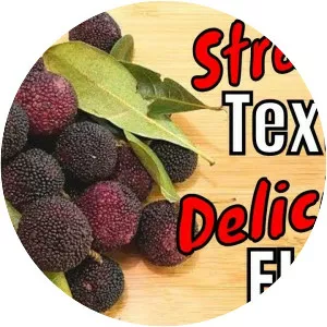 Chinese bayberry - Fruit