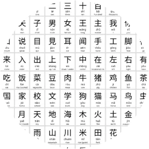 Chinese characters