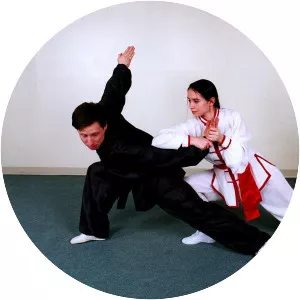 Chinese martial arts