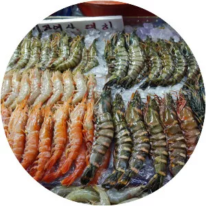 Chinese white shrimp