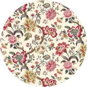 Chintz