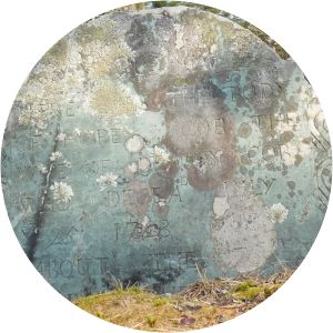 Chipman Cobb photograph