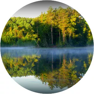 Chippewa National Forest - 