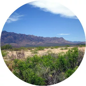 Chiricahua Mountains - Mountain range in Arizona