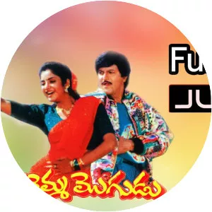 Chitemma Mogudu - 1992 ‧ Romance/World cinema ‧ 2h 20m