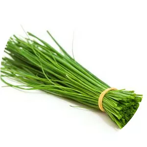 Chives - Plants
