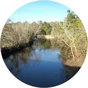 Choctawhatchee River