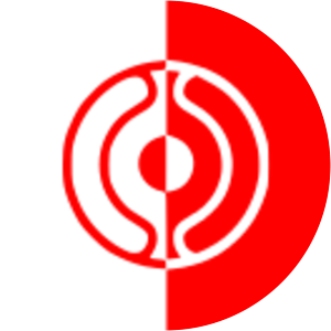 Chondoist Chongu Party