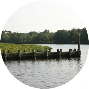 Choptank River - Tributary in Maryland