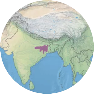 Chota Nagpur Plateau