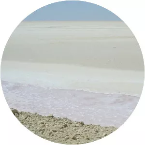 Chott el Djerid - Salt lake in Tunisia