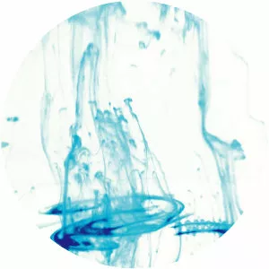 chouchou merged syrups.