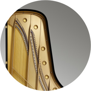 Chris Maene - Musical artist