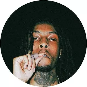 Chris Travis - Musical artist