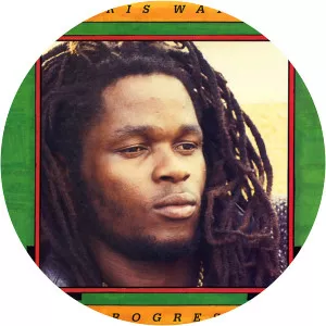 Chris Wayne Musician