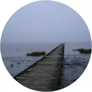 Chris Wollard And The Ship Thieves