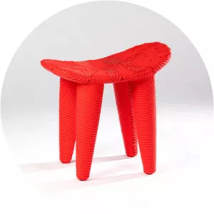 Christian Astuguevieille - French visual artist