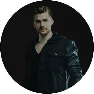 Christian Srigley - Musician