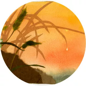 Christiane Kromer - Illustrator