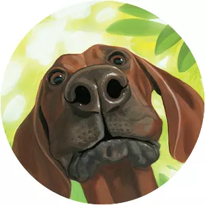 Christina Wald - Illustrator