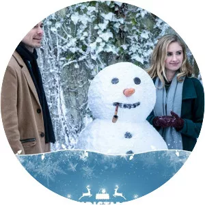 Christmas Perfection