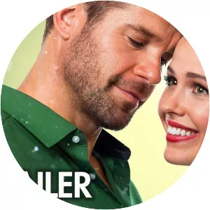 Christmas Wedding Planner