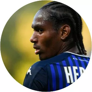 Christophe Hérelle - French footballer