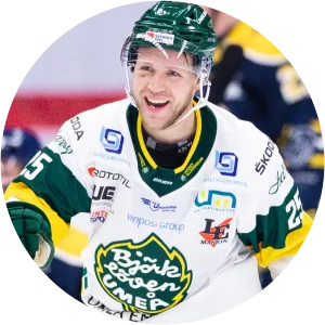 Christopher Bengtsson - Swedish ice hockey player
