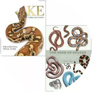 Christopher Mattison - Author